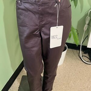 1822 Denim Classic Skinny Pants in Deep Purple